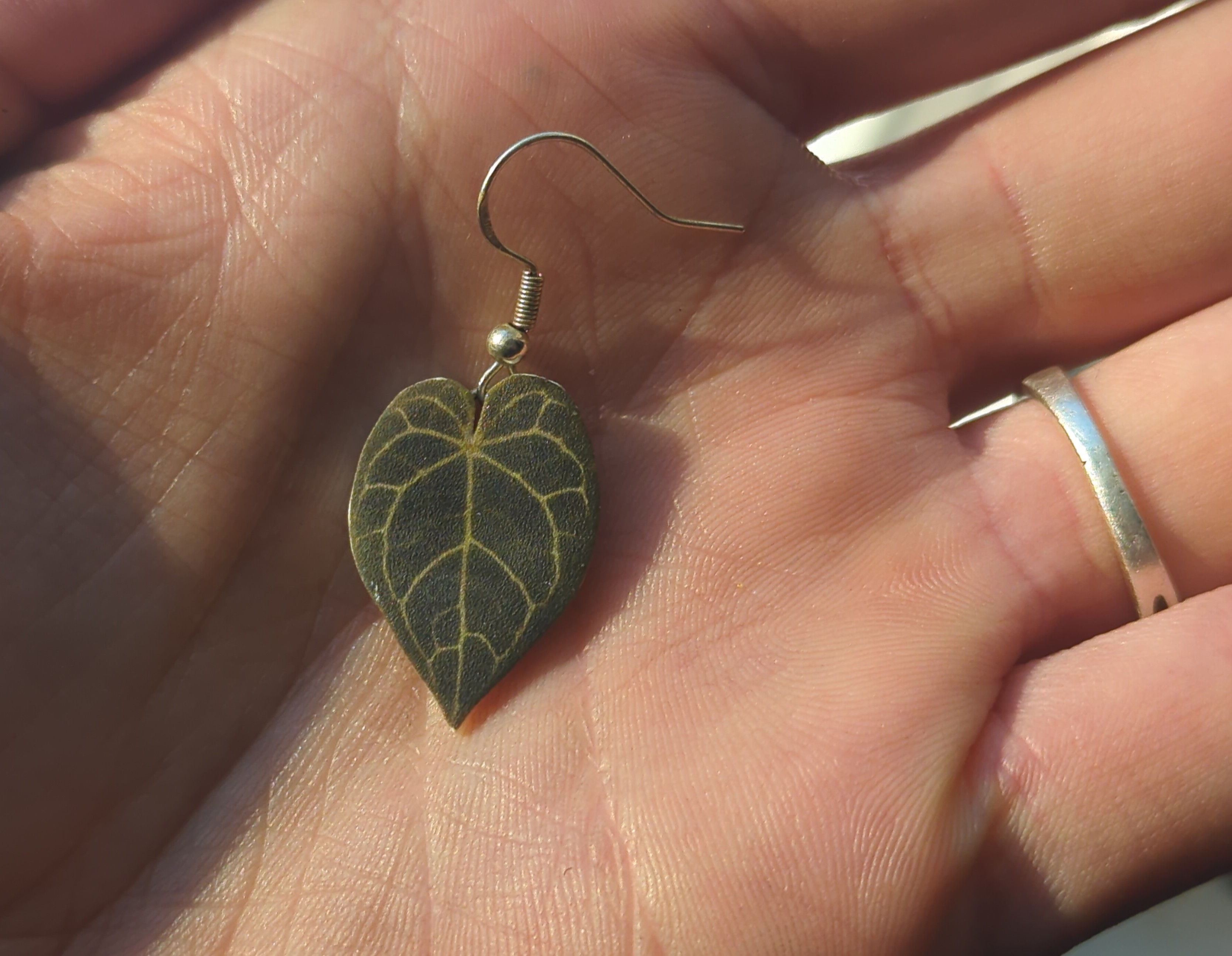 markup_1000050619.jpg|600