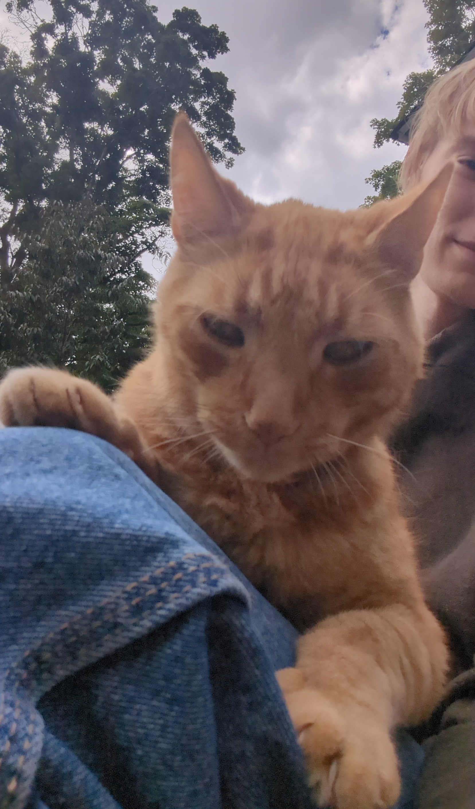 IMG_20250821_133409 1.jpg