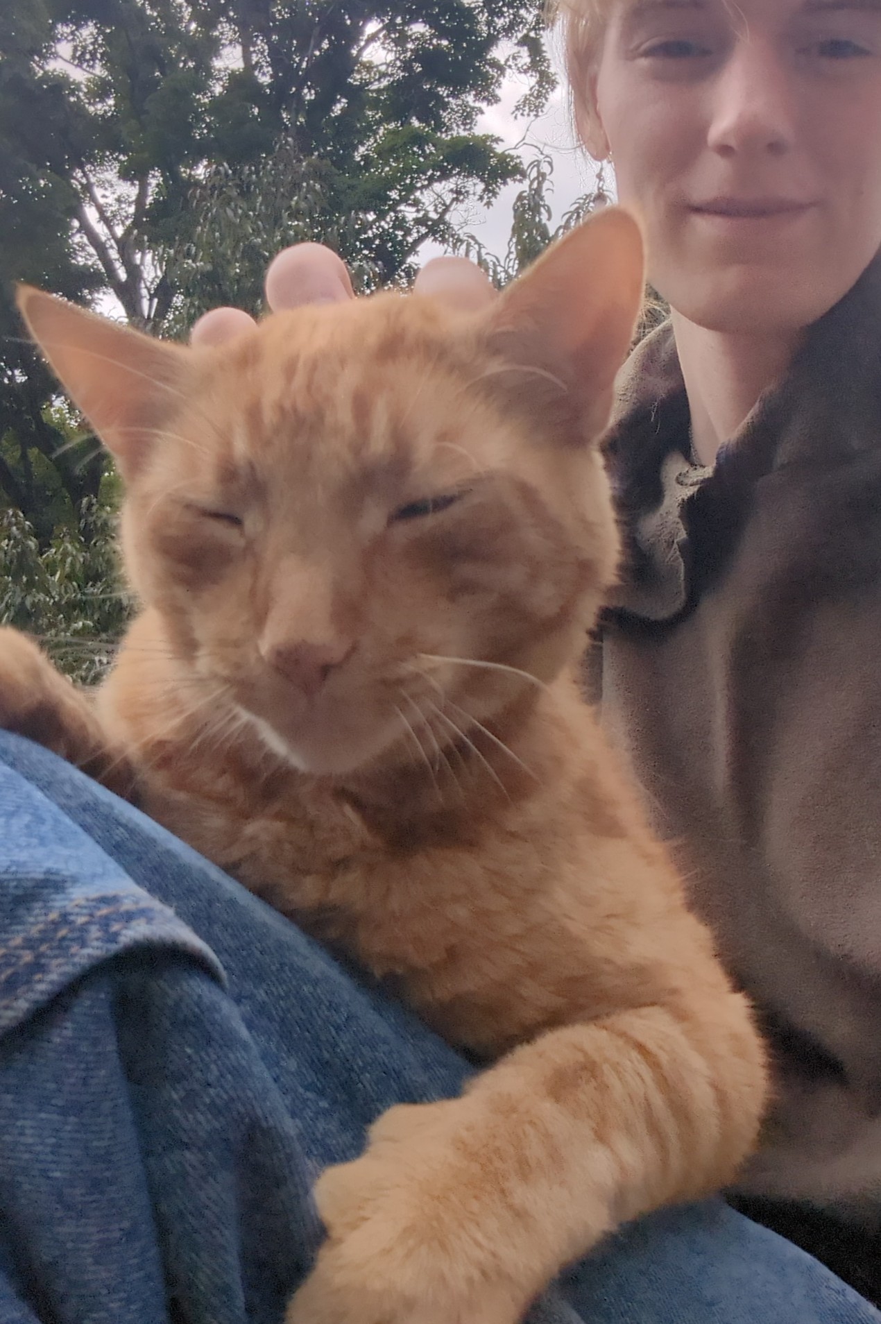 IMG_20250821_133417 1.jpg