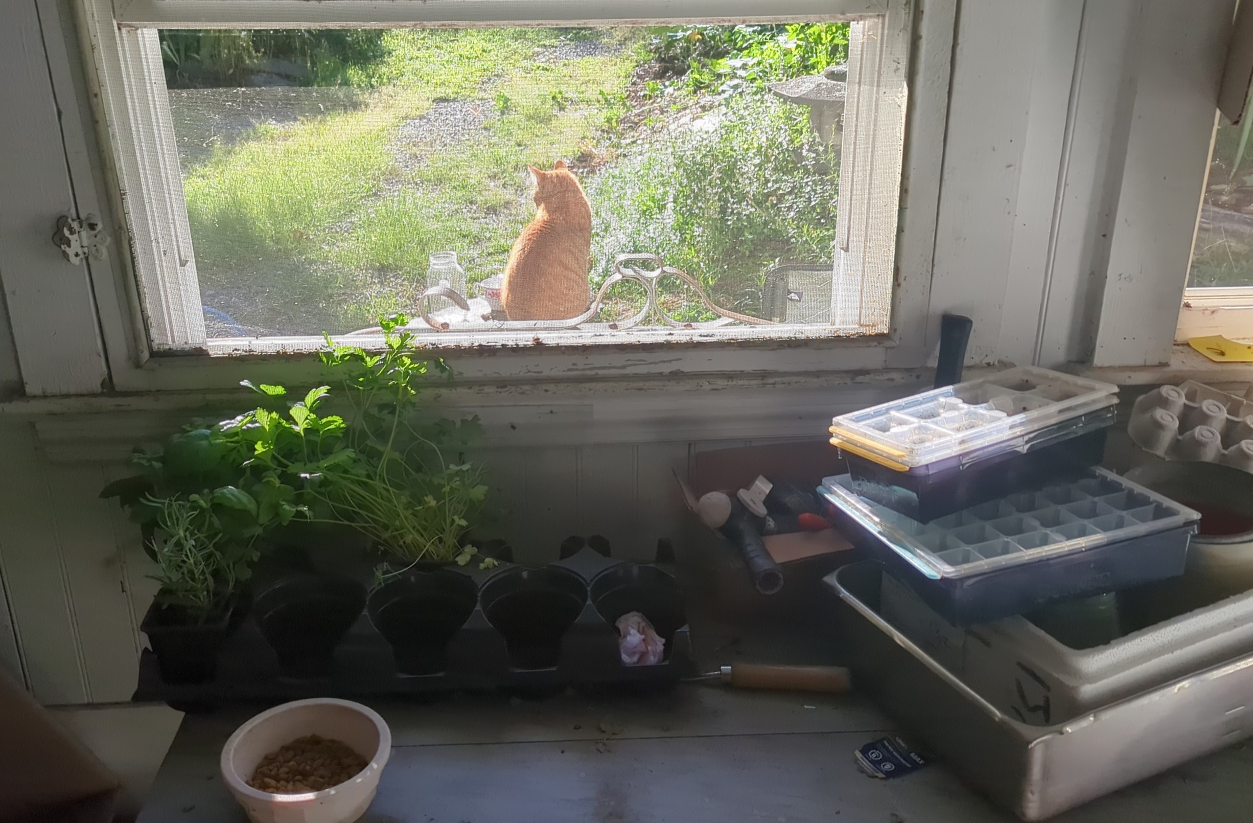 IMG_20250822_083900 1.jpg