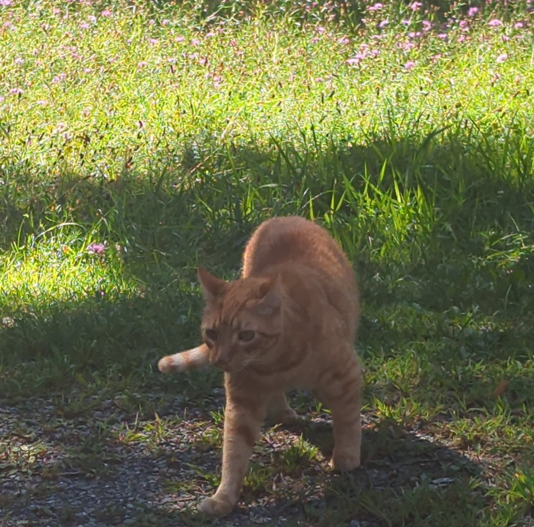 IMG_20250822_102244 1.jpg